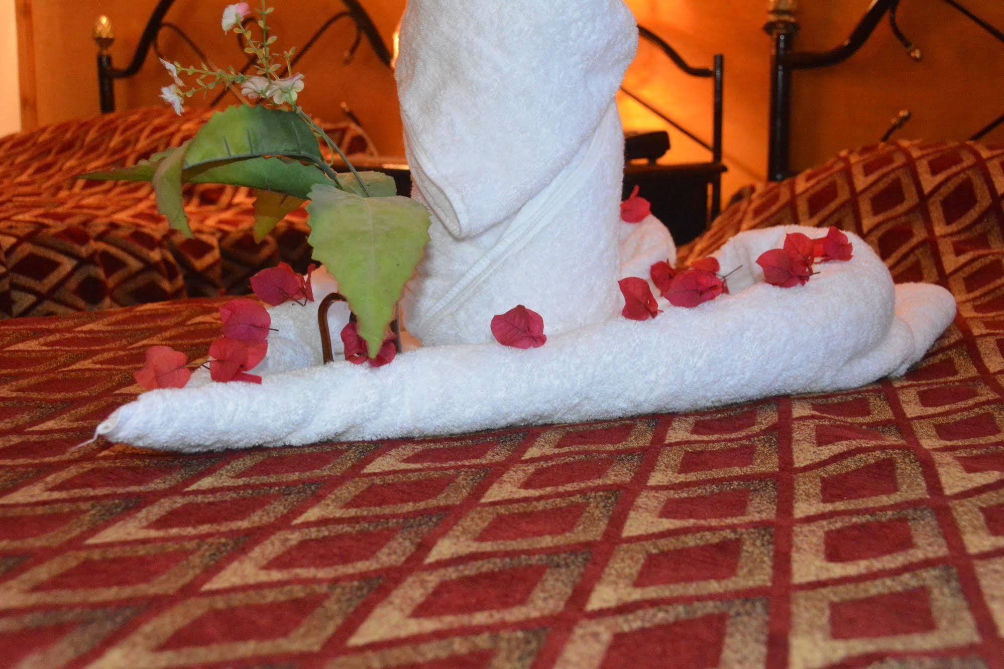 El Gezira Hotel Luksor Dış mekan fotoğraf
