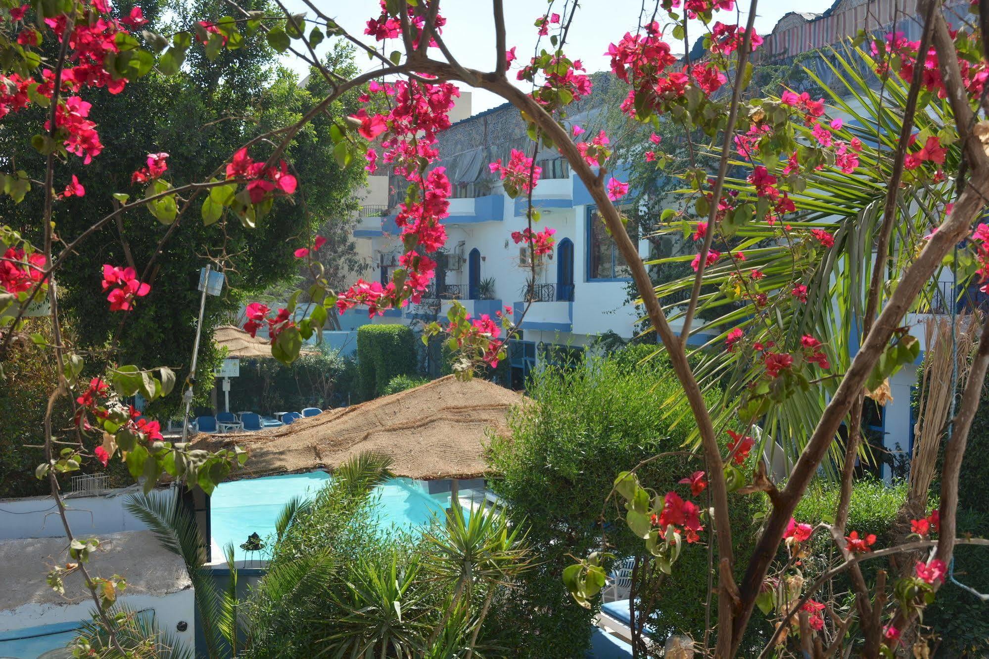 El Gezira Hotel Luksor Dış mekan fotoğraf